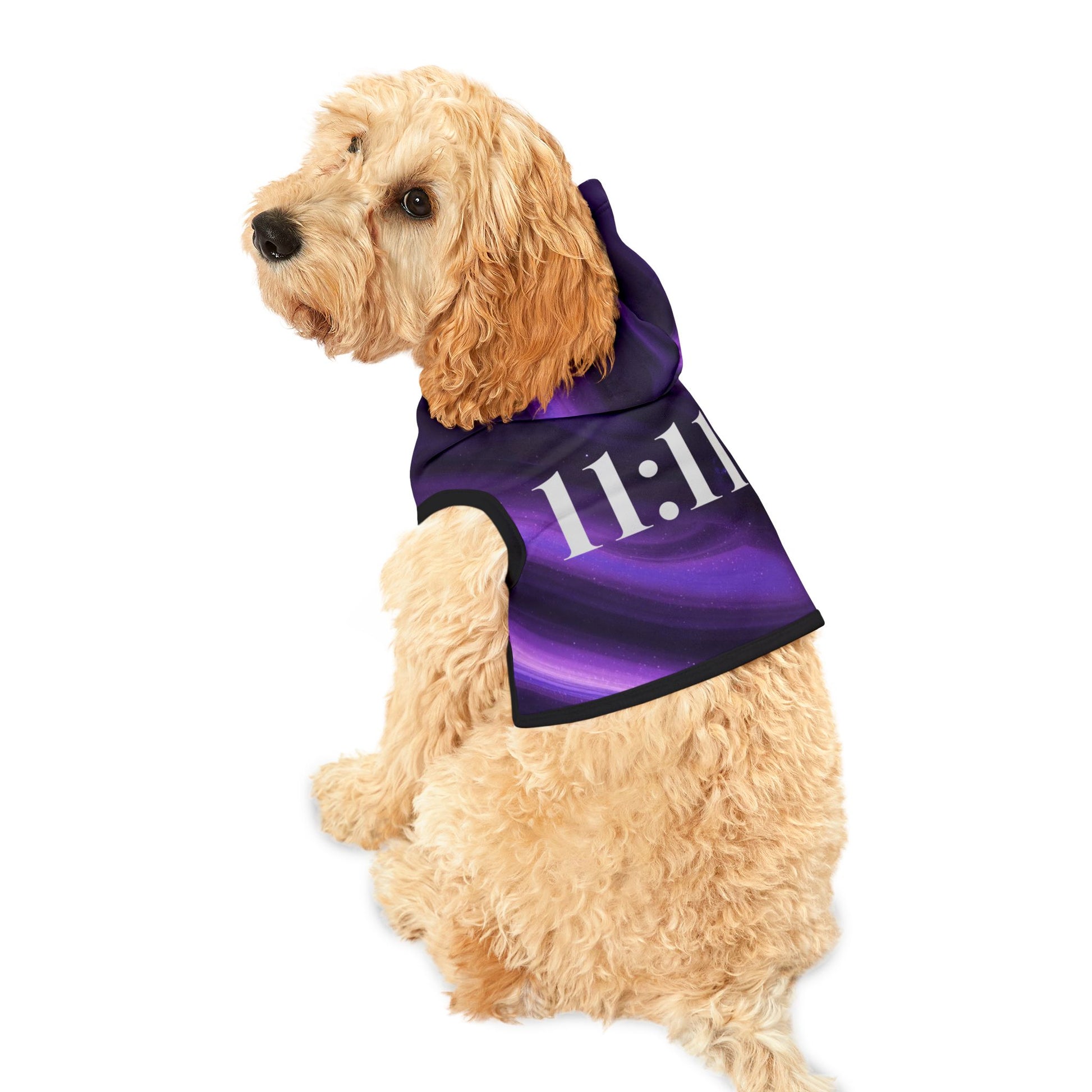 Dog wearing purple swirl 11:11 angel number pet hoodie back view
