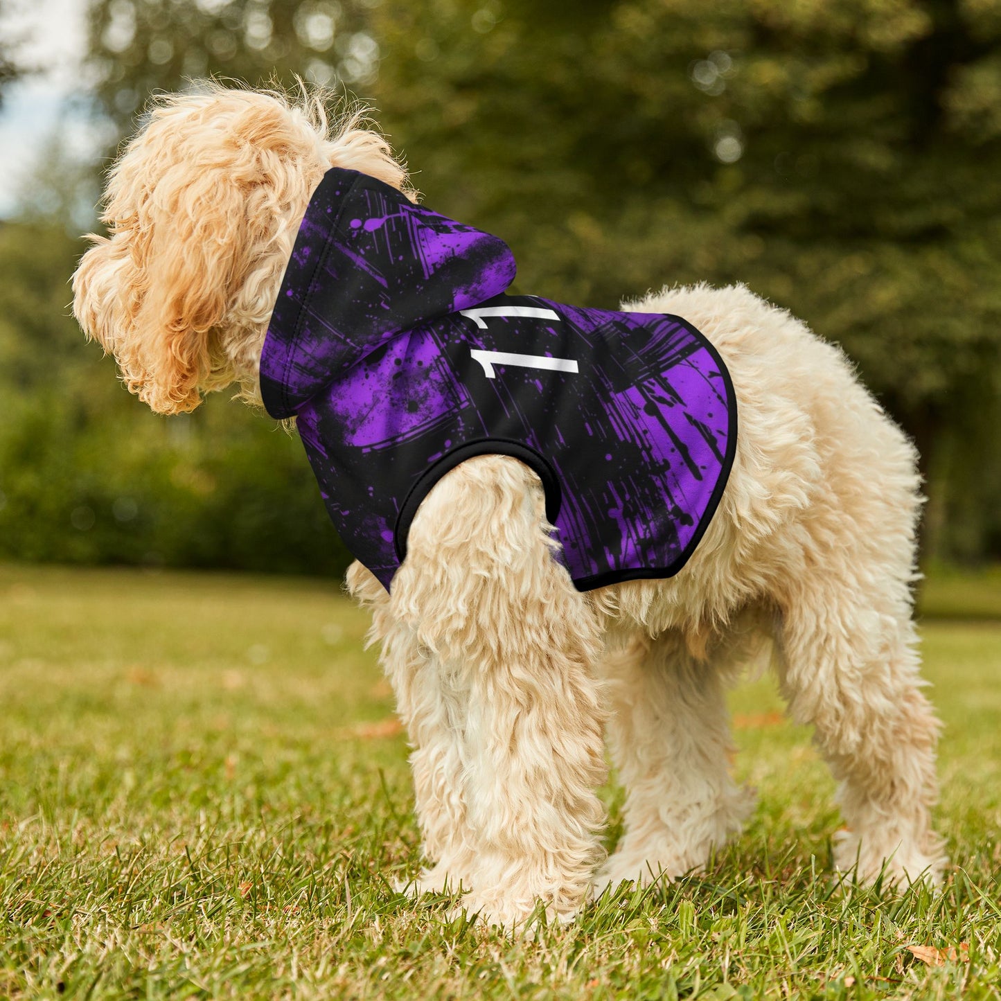 Pet hoodie showing fit and sizing proportions