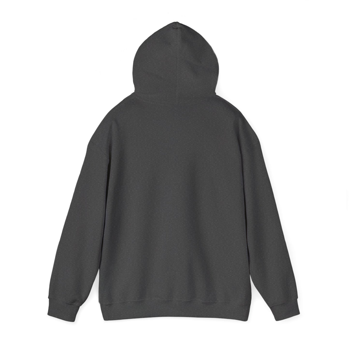 Labrador Streetwear Hoodie — Neon Lab Unisex Pullover