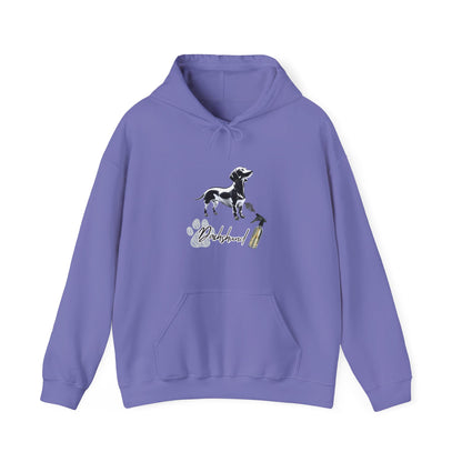 "Cozy Dachshund Hoodie – Snuggle into Comfort with Style | Worldwide Shipping + UK Delivery £3.60 (2-3 Days)"