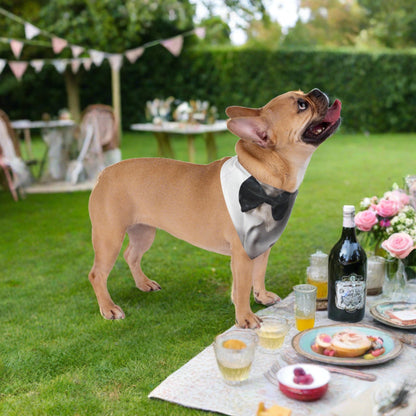 Luxury Dickie Bow-Pet Bandana - Sniff Waggle And Walk