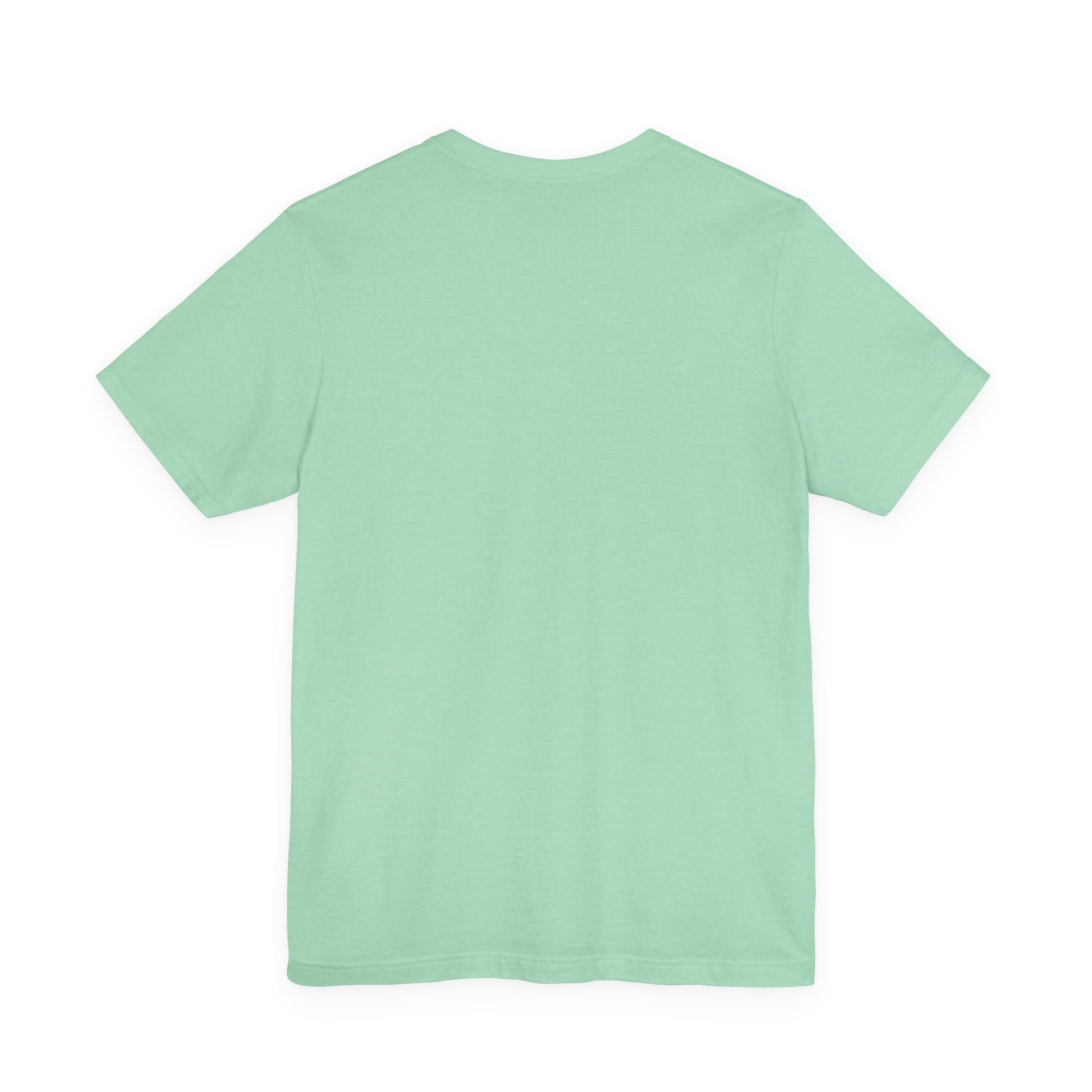 Cocker Spaniel Squad t-shirt in Heather Mint, flat lay back view