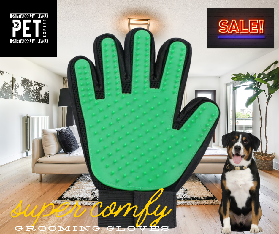 PawGlove Lite everyday grooming gloves — rubber grip nubs for daily hair pickup