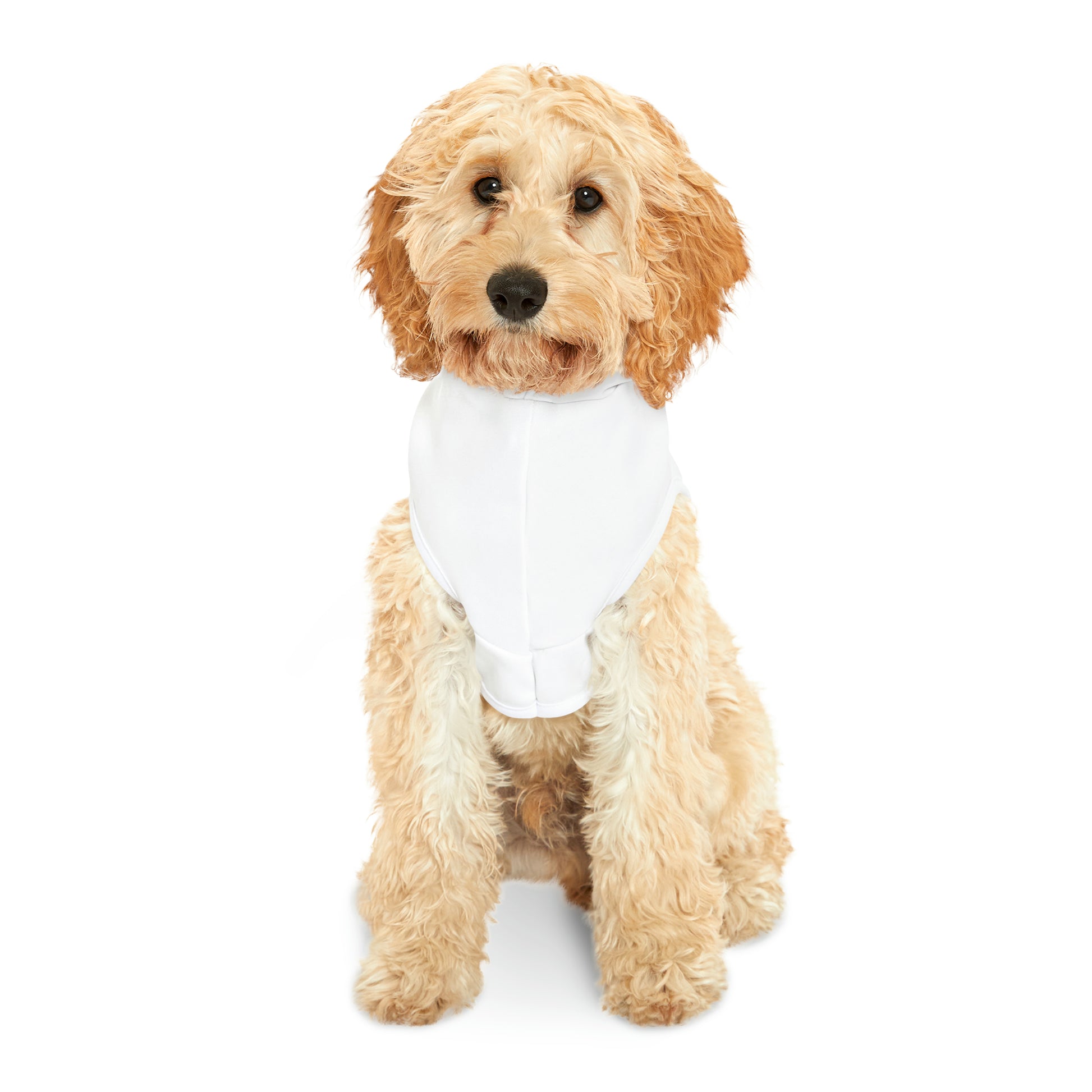 🐾 Sniffwagglenwalk™ Pet Hoodie "Dog hair dont care" - Sniff Waggle And Walk