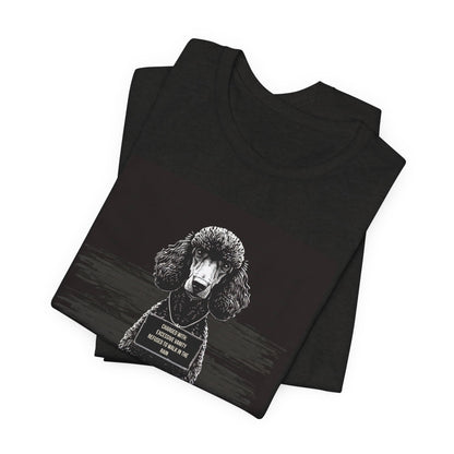 Poodle True Crime Night Shift t-shirt worn casually, black