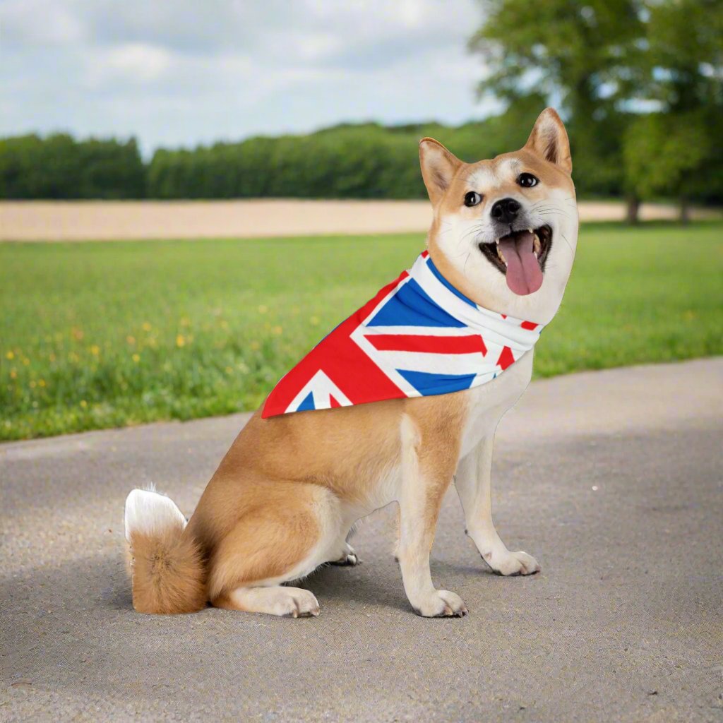 Union Jack themed- Pet Bandana - Sniff Waggle And Walk