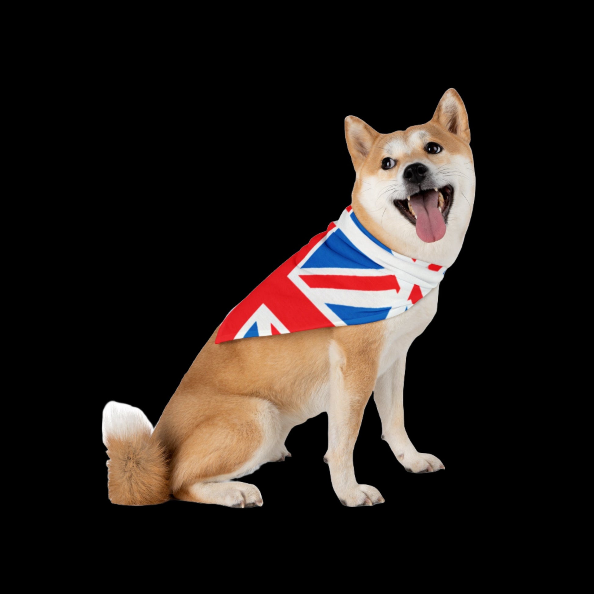 Union Jack themed- Pet Bandana - Sniff Waggle And Walk