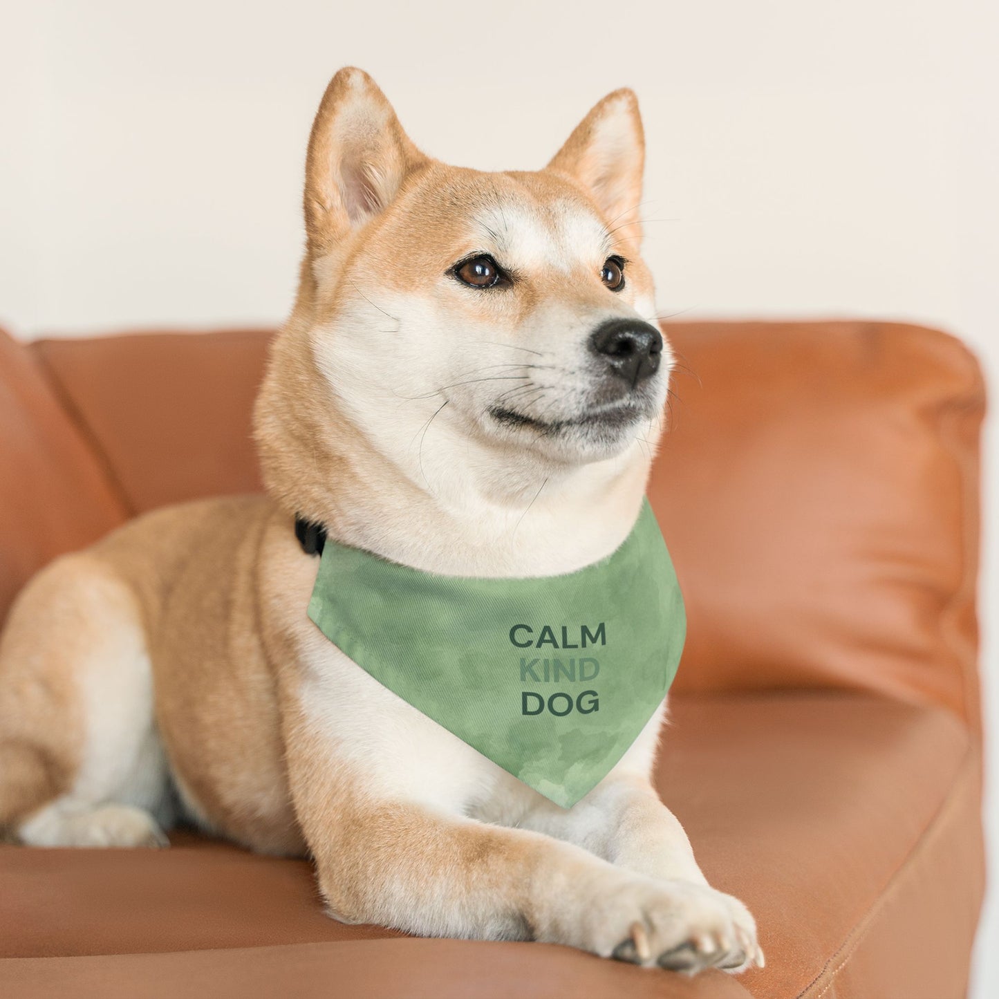 Calm Kind Dog™ Clip-On Bandana Collar Minimal Sage • Everyday Balance for Gentle Dogs