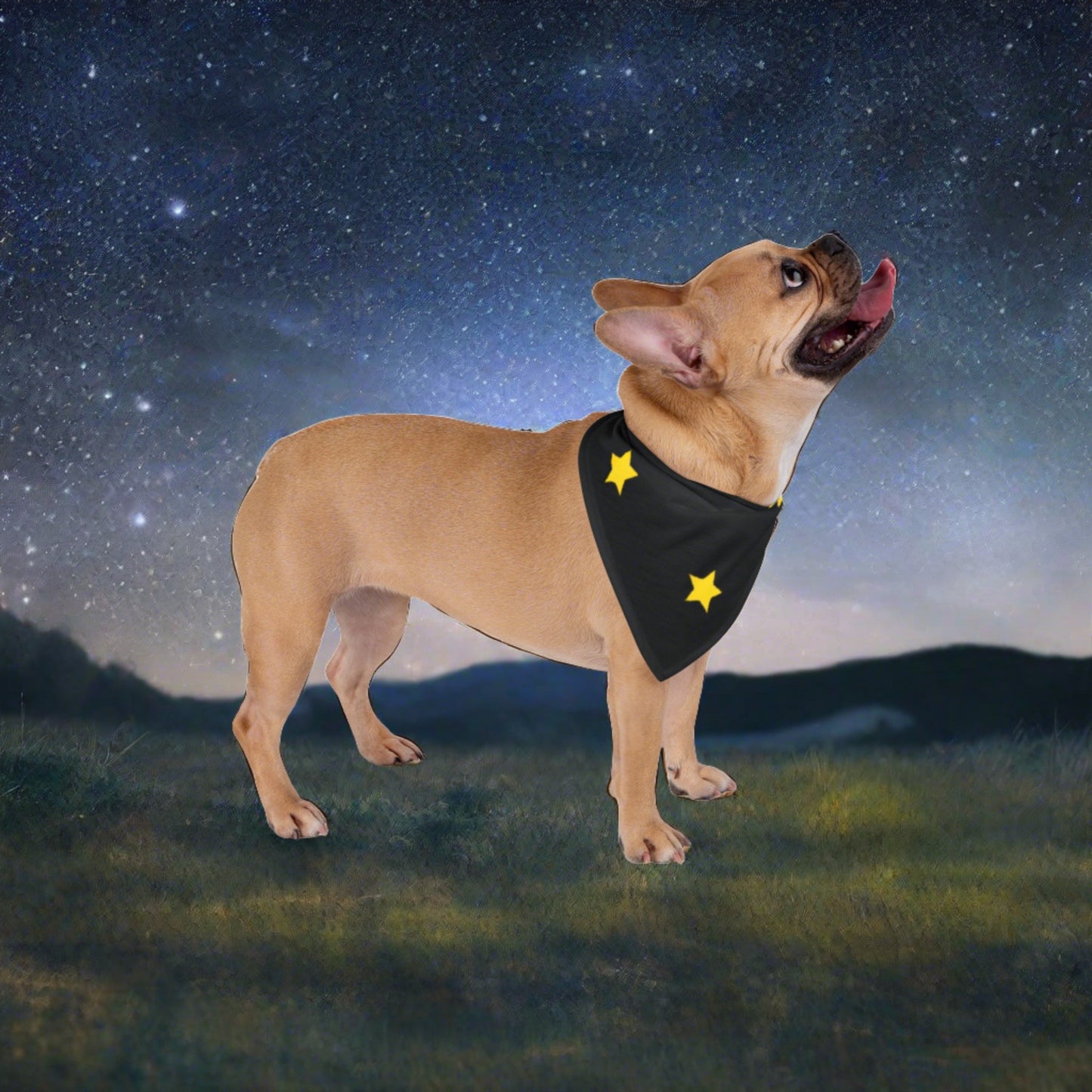 Stars-Pet Bandana - Sniff Waggle And Walk