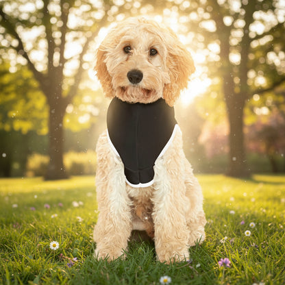 11:11 Angel Energy Dog Hoodie – Cozy Symbol of Love, Luck & Divine Protection 🐾