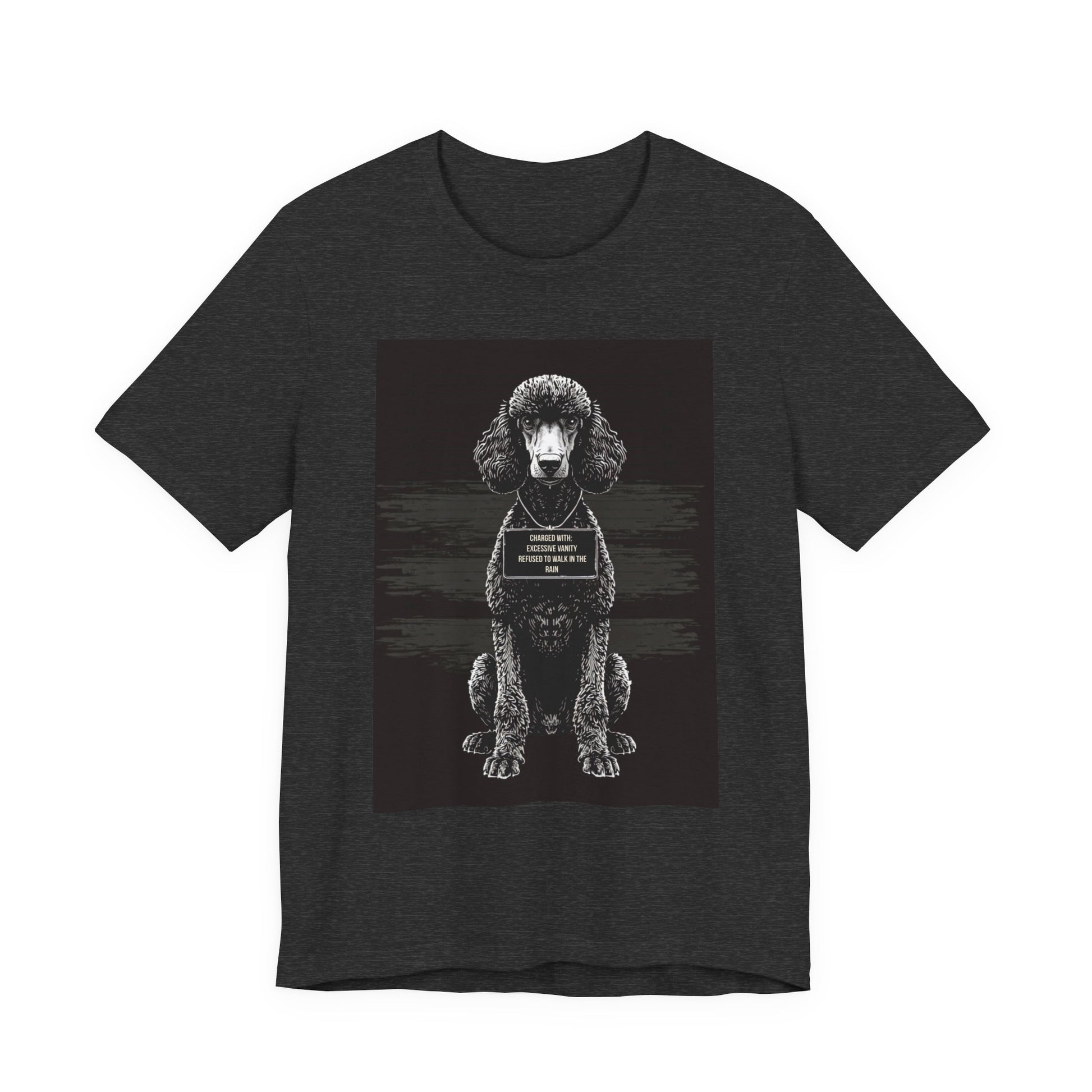 Dark Grey Heather colourway of the Poodle True Crime Night Shift t-shirt, back view