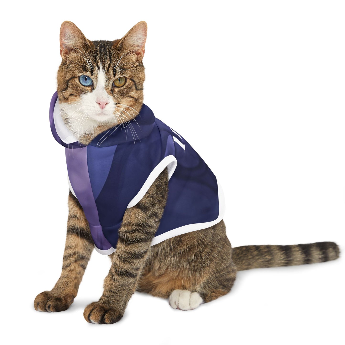 11:11 Purple Swirl Pet Hoodie