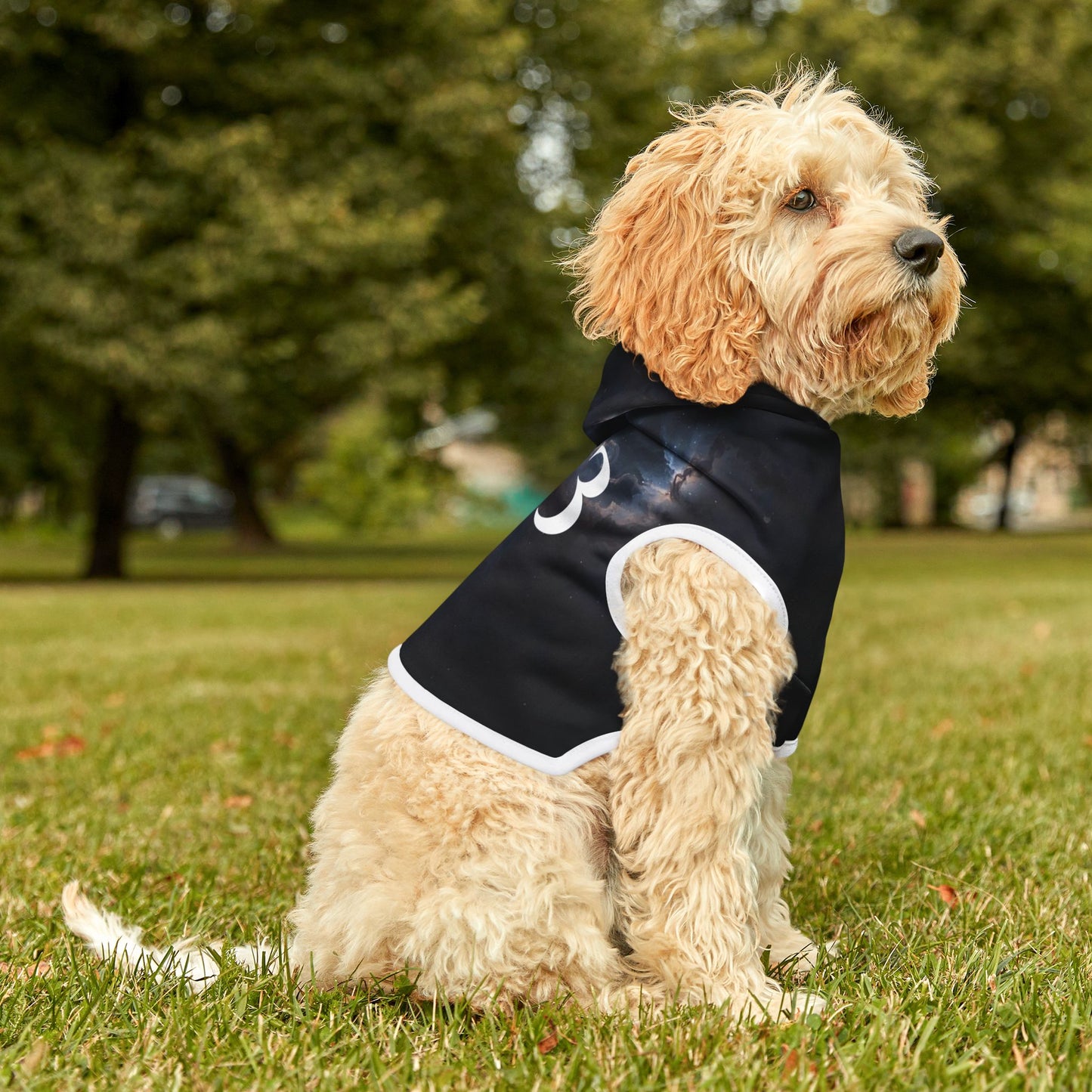 333 Cosmic Alignment™ Galaxy Pet Hoodie – Angel Number Design