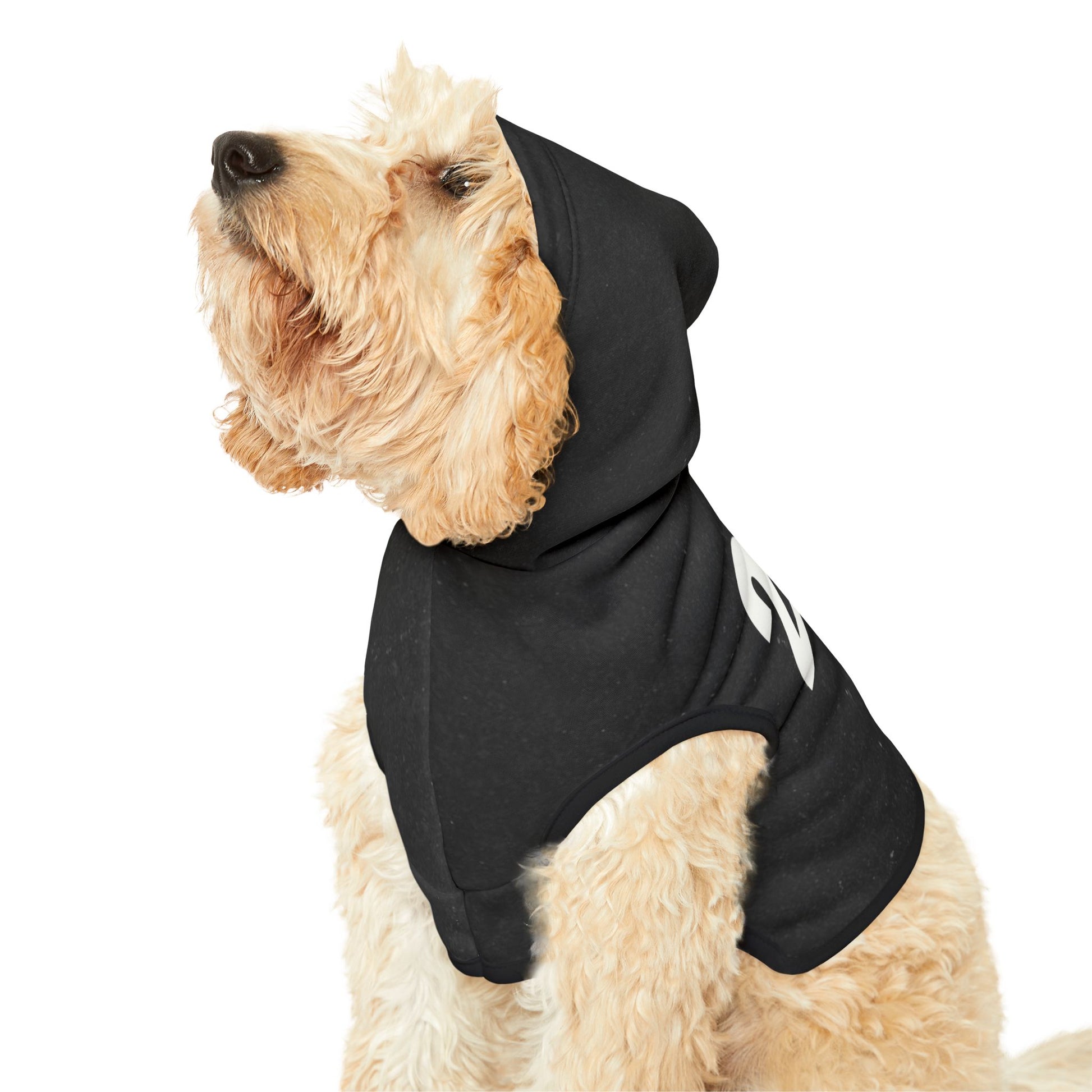 Dog hoodie featuring 222 angel number print on the back in black