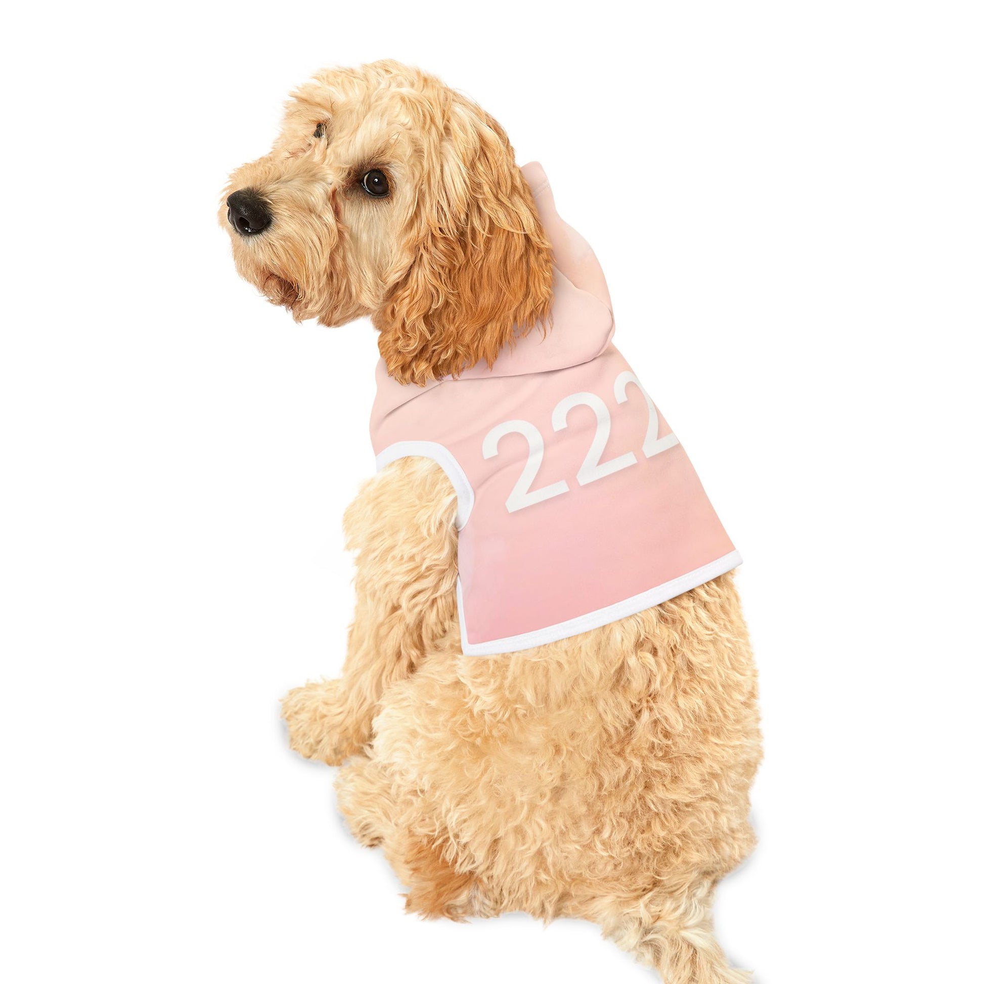Soft peach angel number 222 hoodie on dog, calm spiritual design