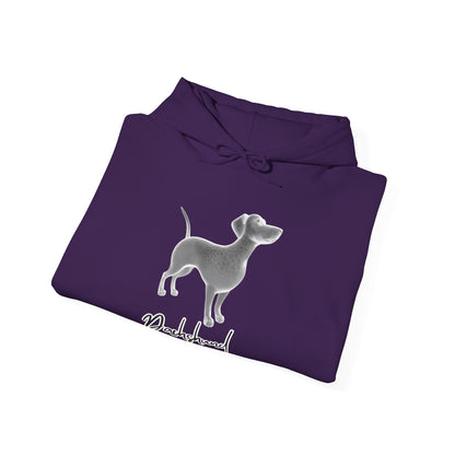 "Cozy Dachshund Hoodie-Snuggle into Comfort with Style | Worldwide Shipping - UK Delivery £3.60 (2-3 Days)"