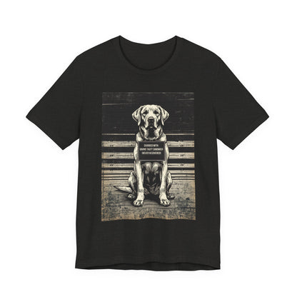 Labrador True Crime Night Shift t-shirt folded flat, black