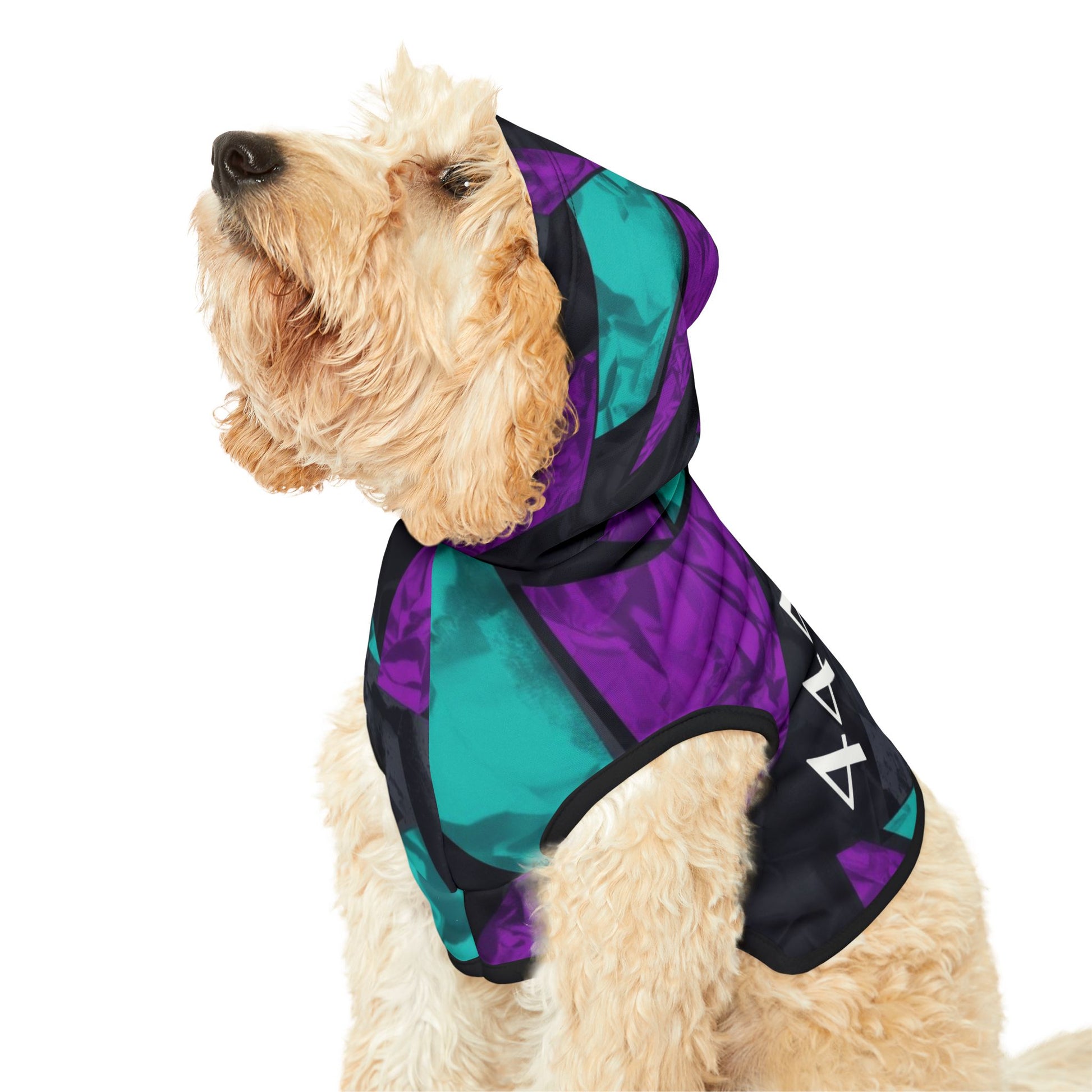 Close-up of 444 inspired spiritual pet hoodie