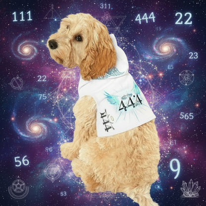 Calming Spiritual Pet Hoodie 444 Lifestyle Photo