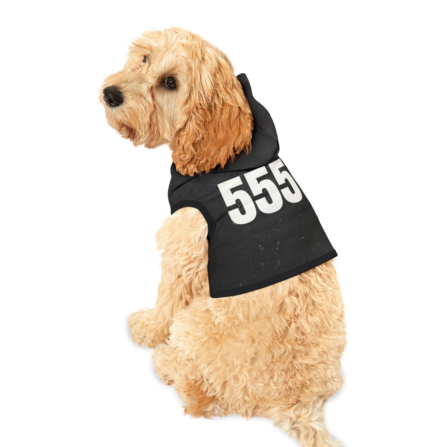 Black dog wearing 555 angel number urban pet hoodie front view
