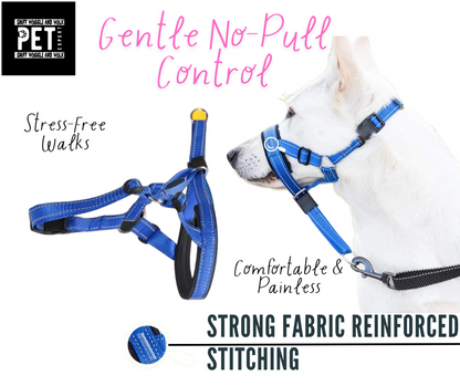 Perfect Control No-Pull Dog leash Sniffwaggleandwalk™