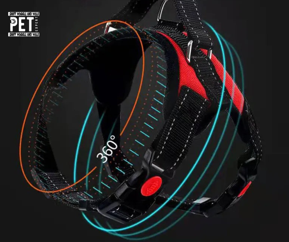 StrideGuard™ red harness lifestyle shot — reflective adjustable dog harness surrounded by pet accessories