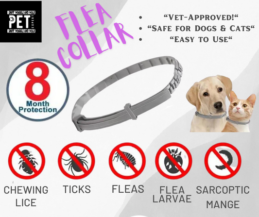 Flea collar 8months protection Sniffwaggleandwalk™