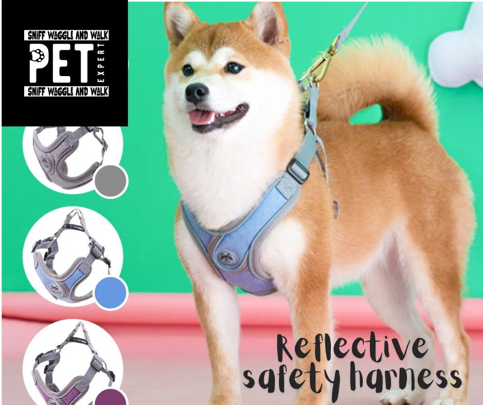 SniffWaggleNWalk SafeStep™ reflective dog harness — close-up of 3M reflective yarn and breathable mesh panel