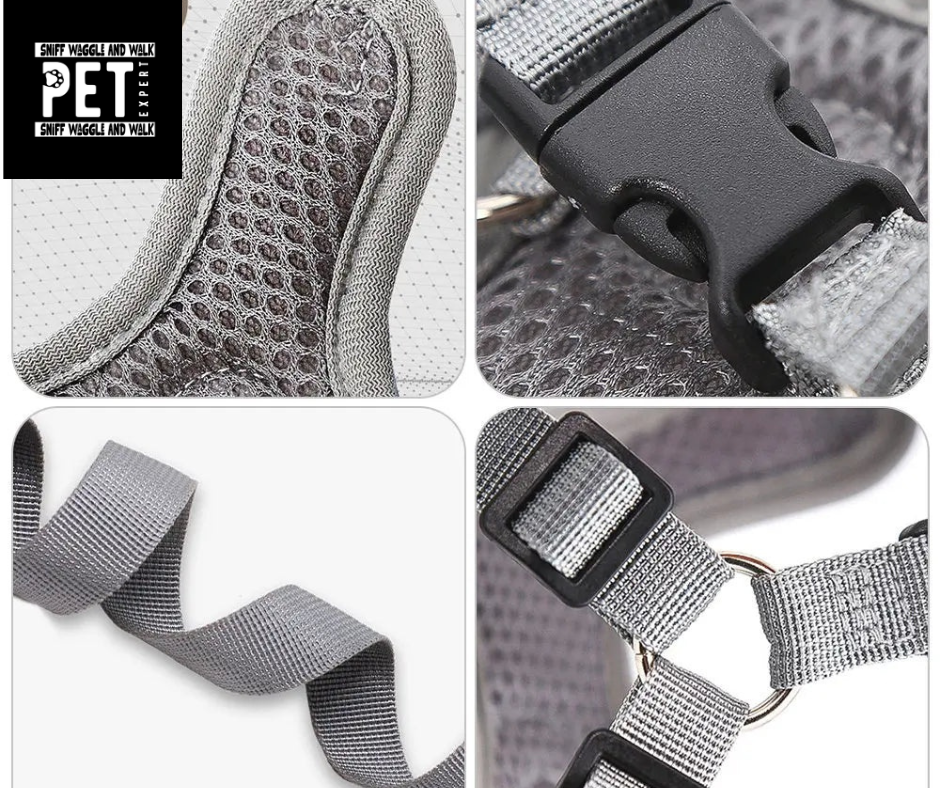 SafeStep™ size chart — XS 36–44cm, S 45–55cm, M 50–60cm, L 62–78cm, XL 72–92cm chest circumference
