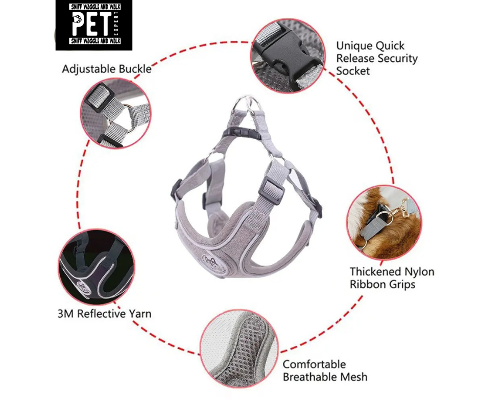 SafeStep™ reflective dog harness shown on Shiba Inu, French Bulldog and Poodle — XS to L sizes