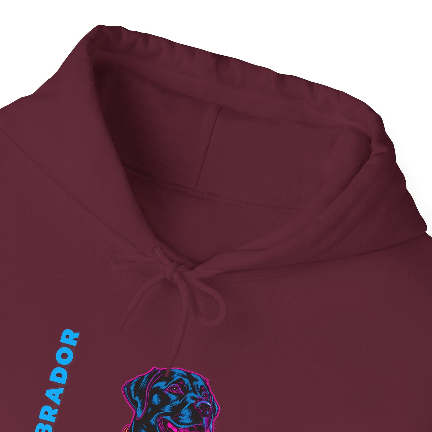 Labrador Streetwear Hoodie — Neon Lab Unisex Pullover
