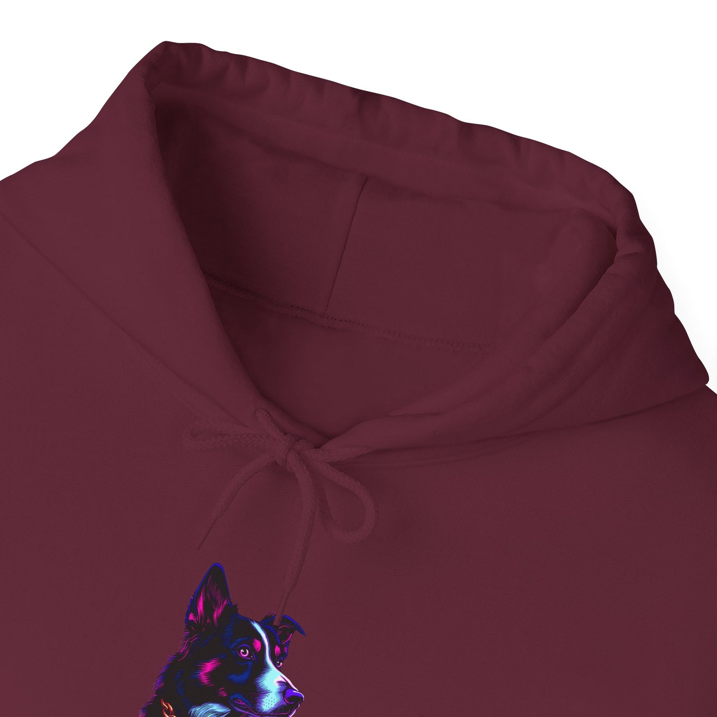 Border Collie Streetwear Hoodie — Neon Border Collie Unisex Pullover