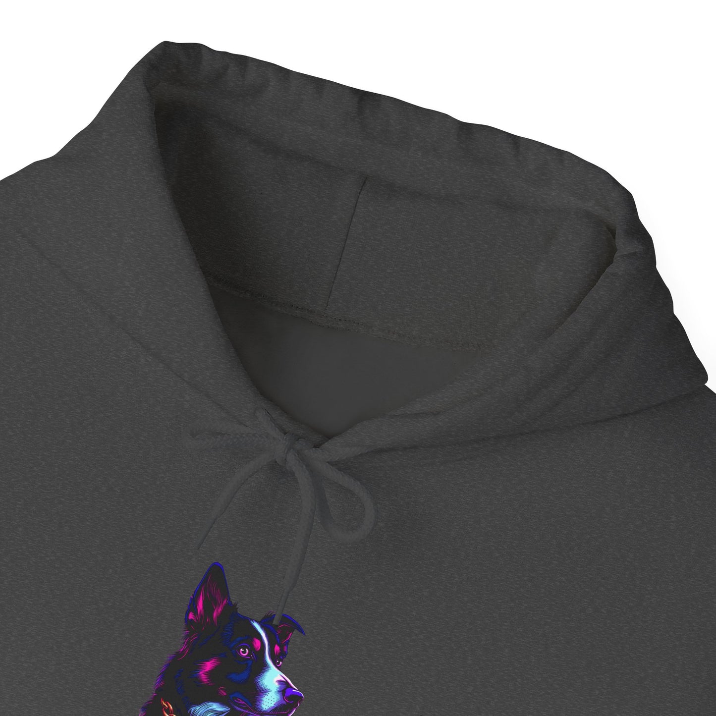 Border Collie Streetwear Hoodie — Neon Border Collie Unisex Pullover