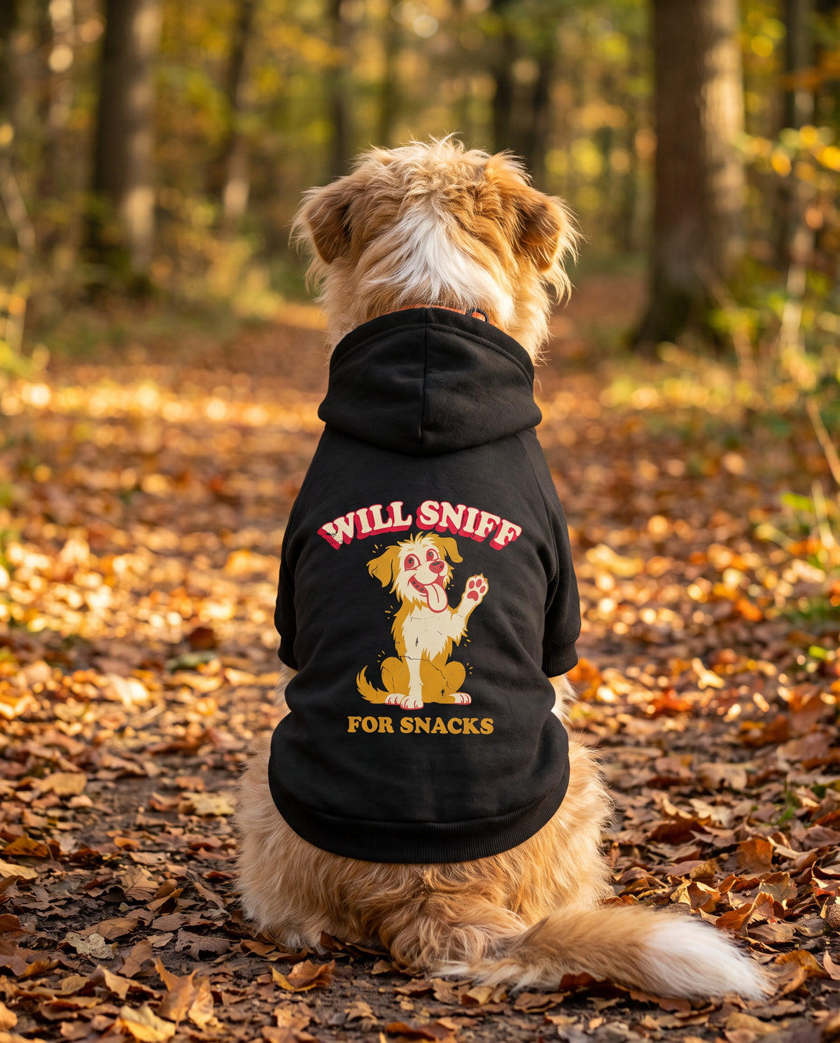 Dog sitting on an autumn path wearing the black Will Sniff for Snacks Dog Hoodie, back view