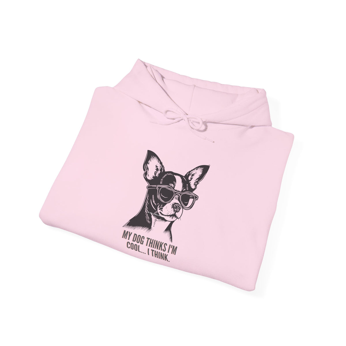 Funny dog owner gift hoodie product image