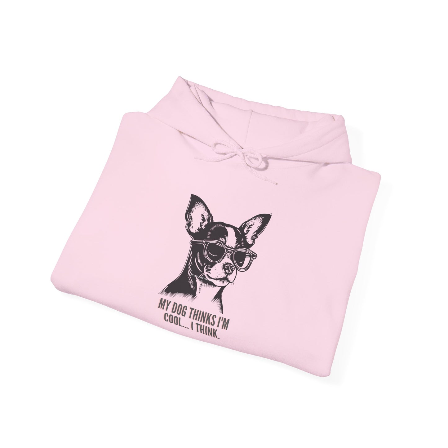 Funny dog owner gift hoodie product image