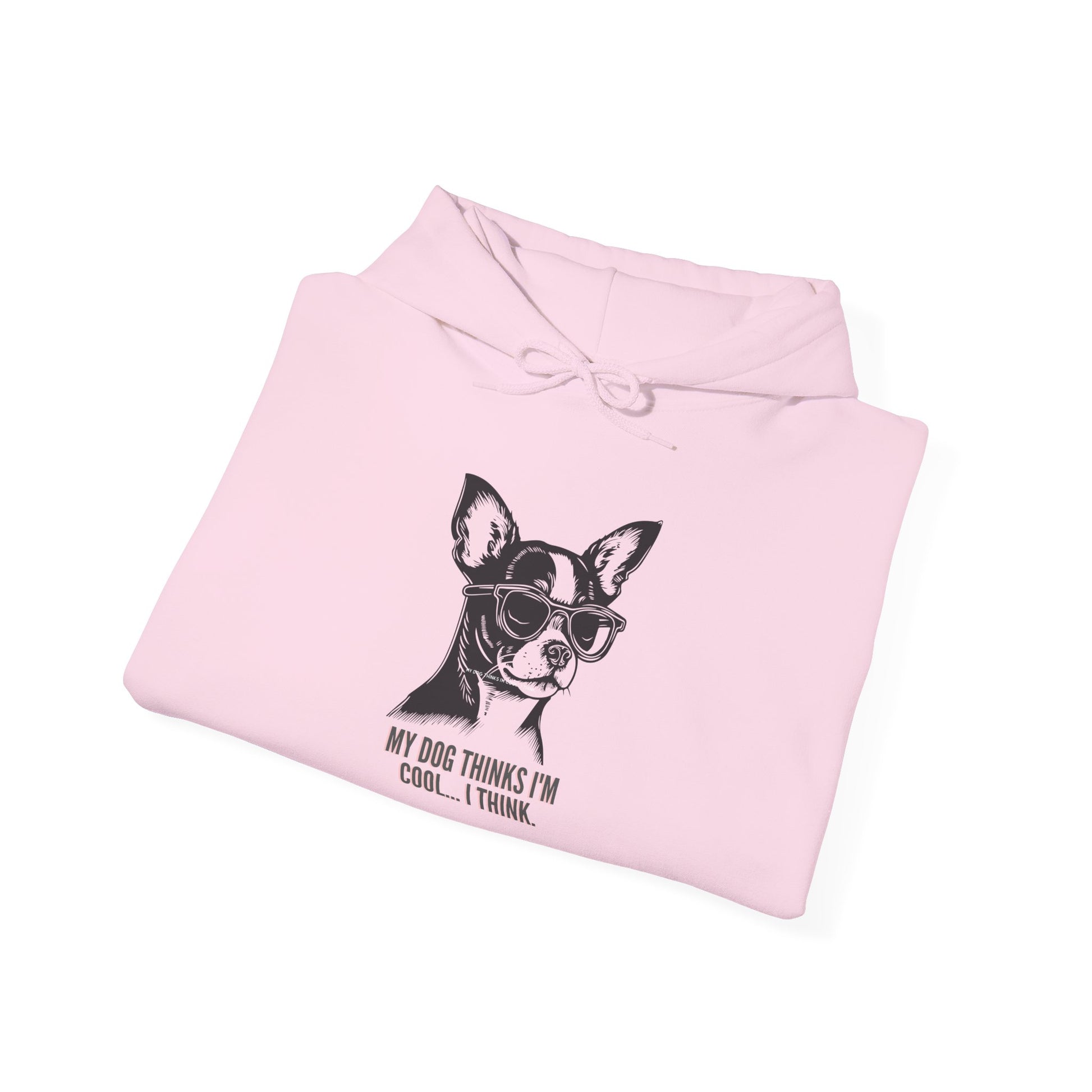 Funny dog owner gift hoodie product image