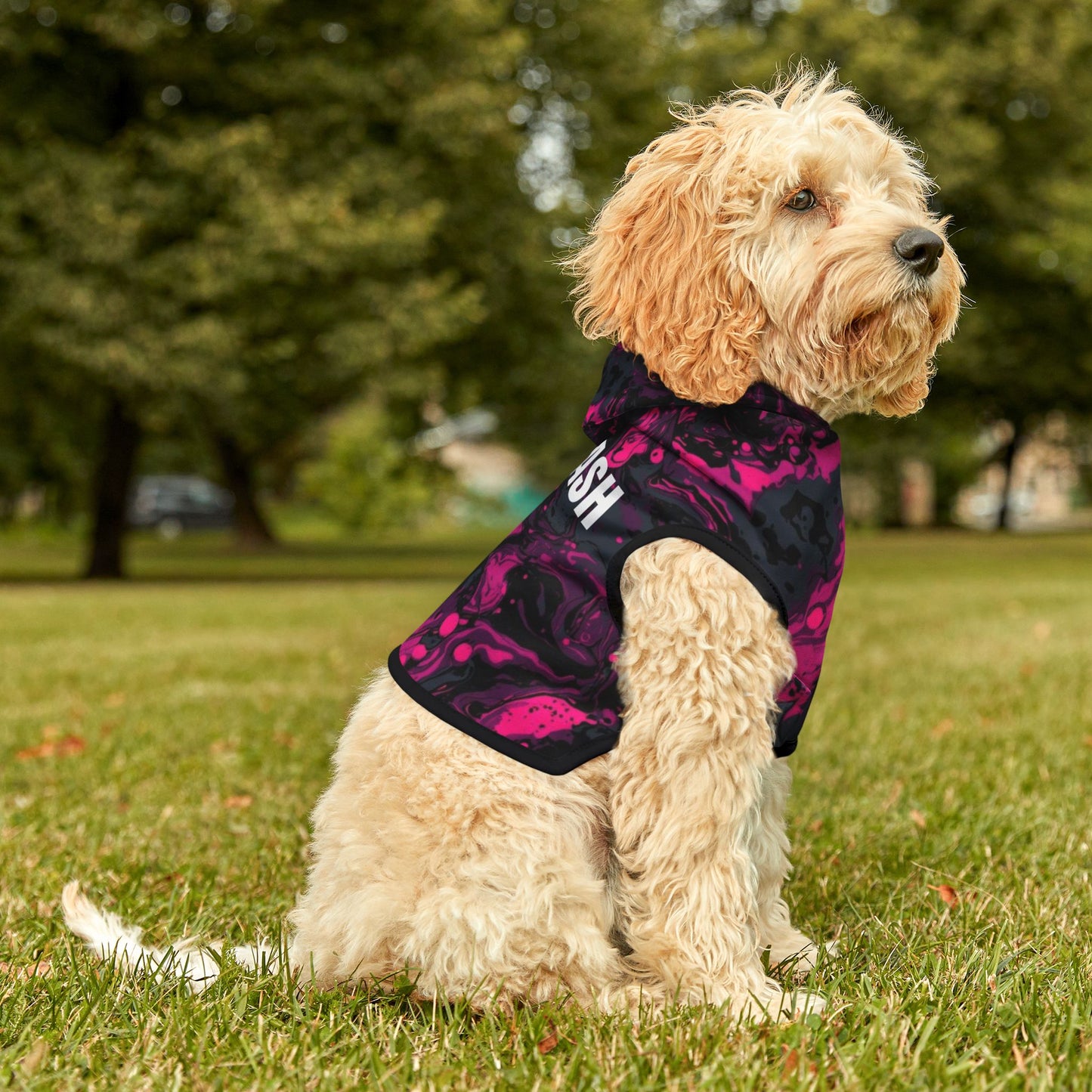 OFF LEASH™ Signature Swirl Dog Hoodie