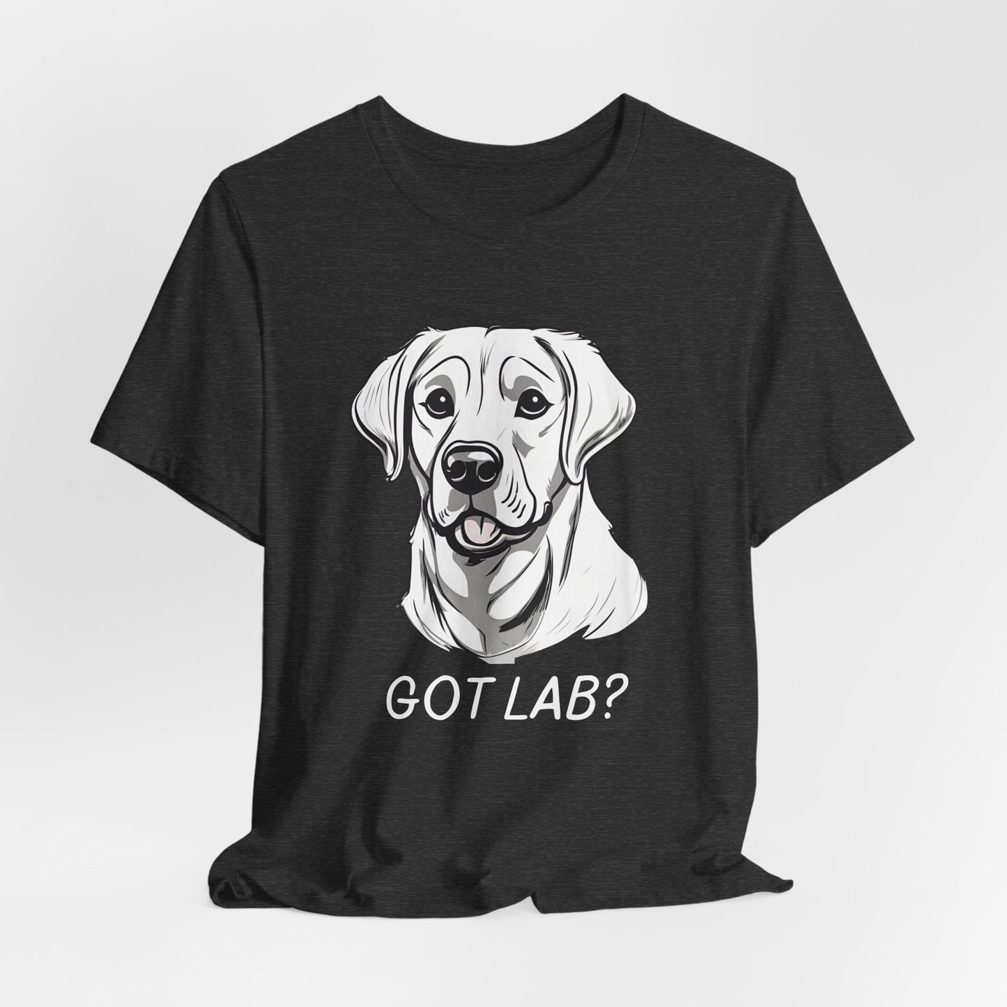 GOT LAB? Labrador slogan t-shirt in Dark Grey Heather worn by a model, front view