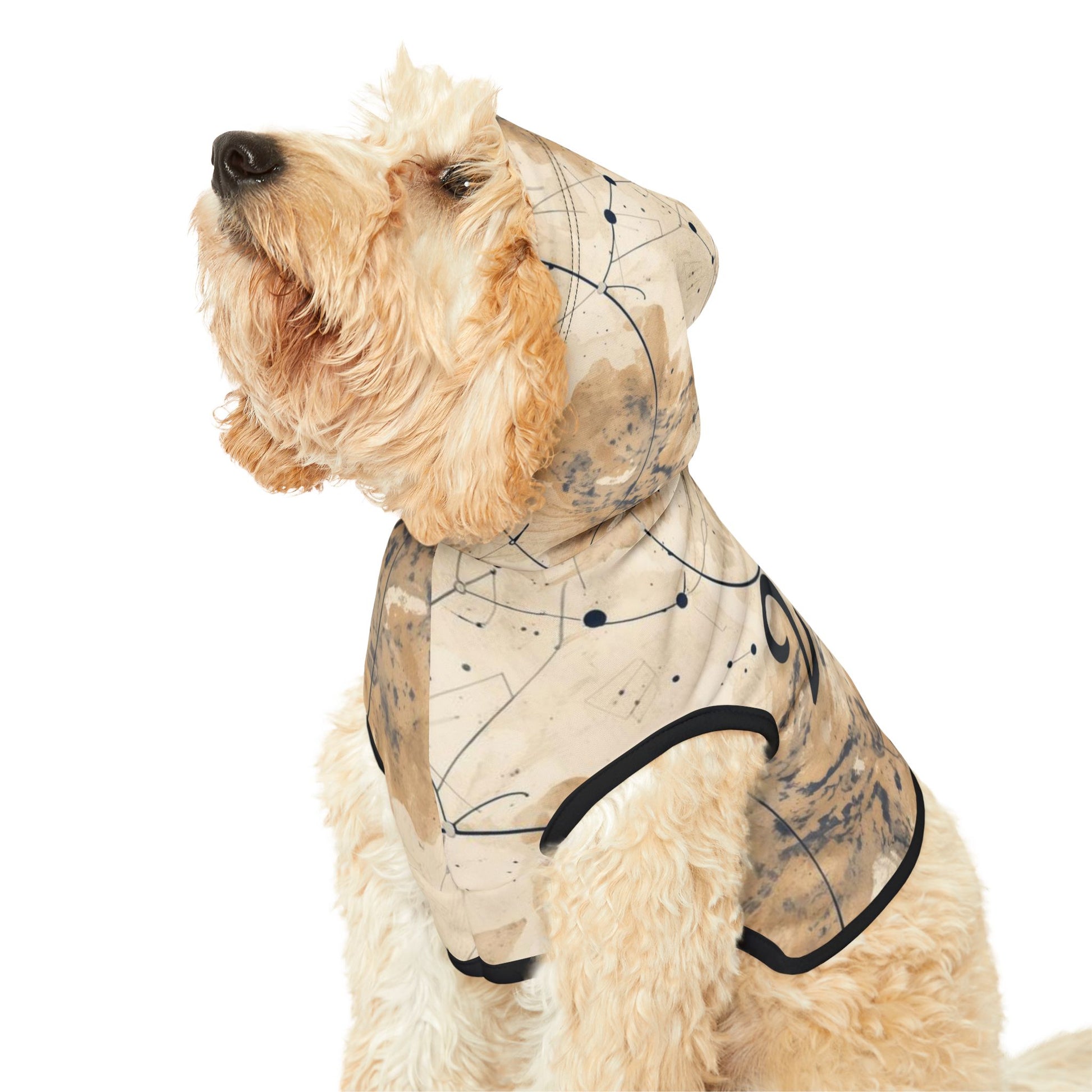 Close-up of angel number 222 printed on dog hoodie