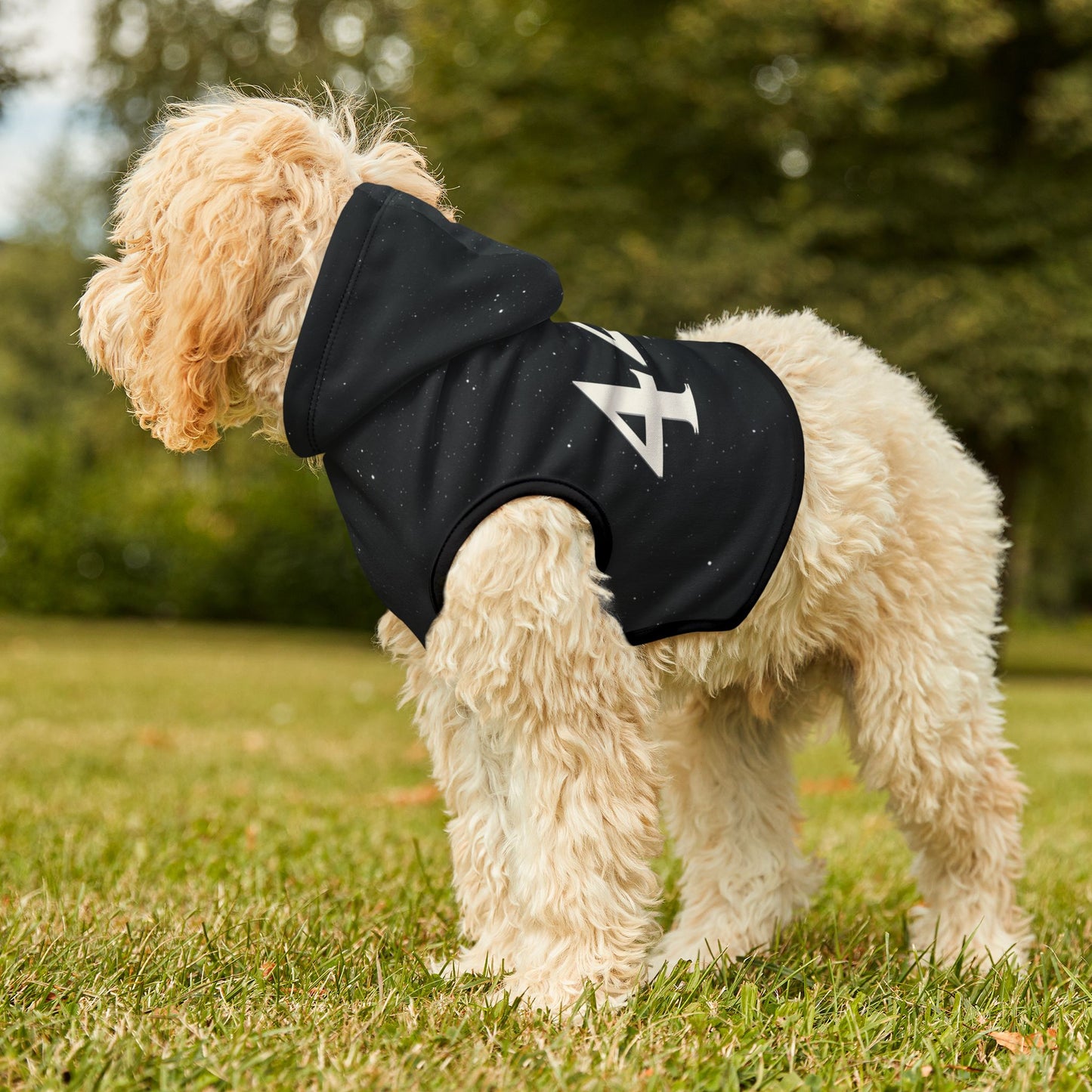 dog wearing protective Angel Number 444 hoodie