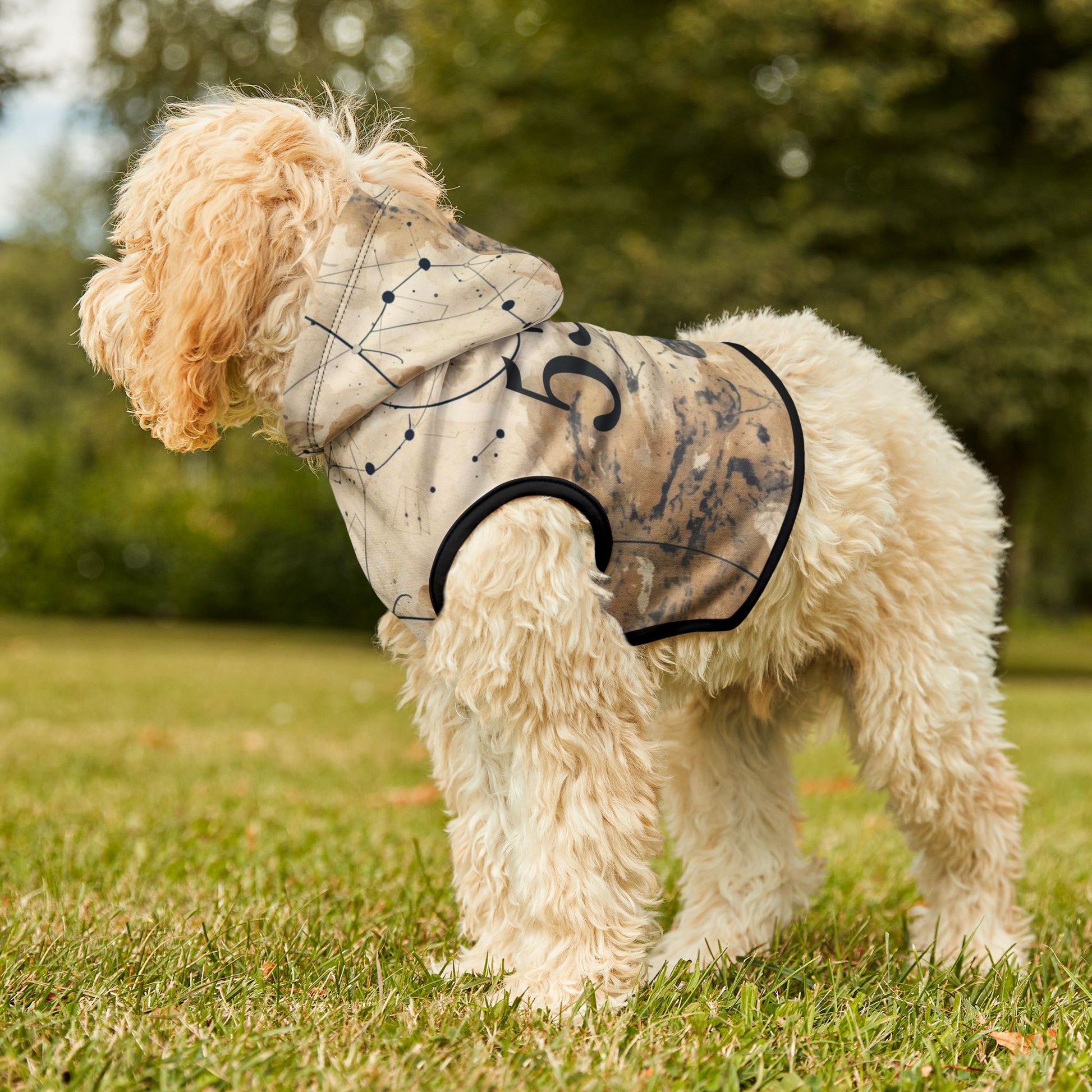 Detailed view of minimalist numerals on spiritual dog hoodie