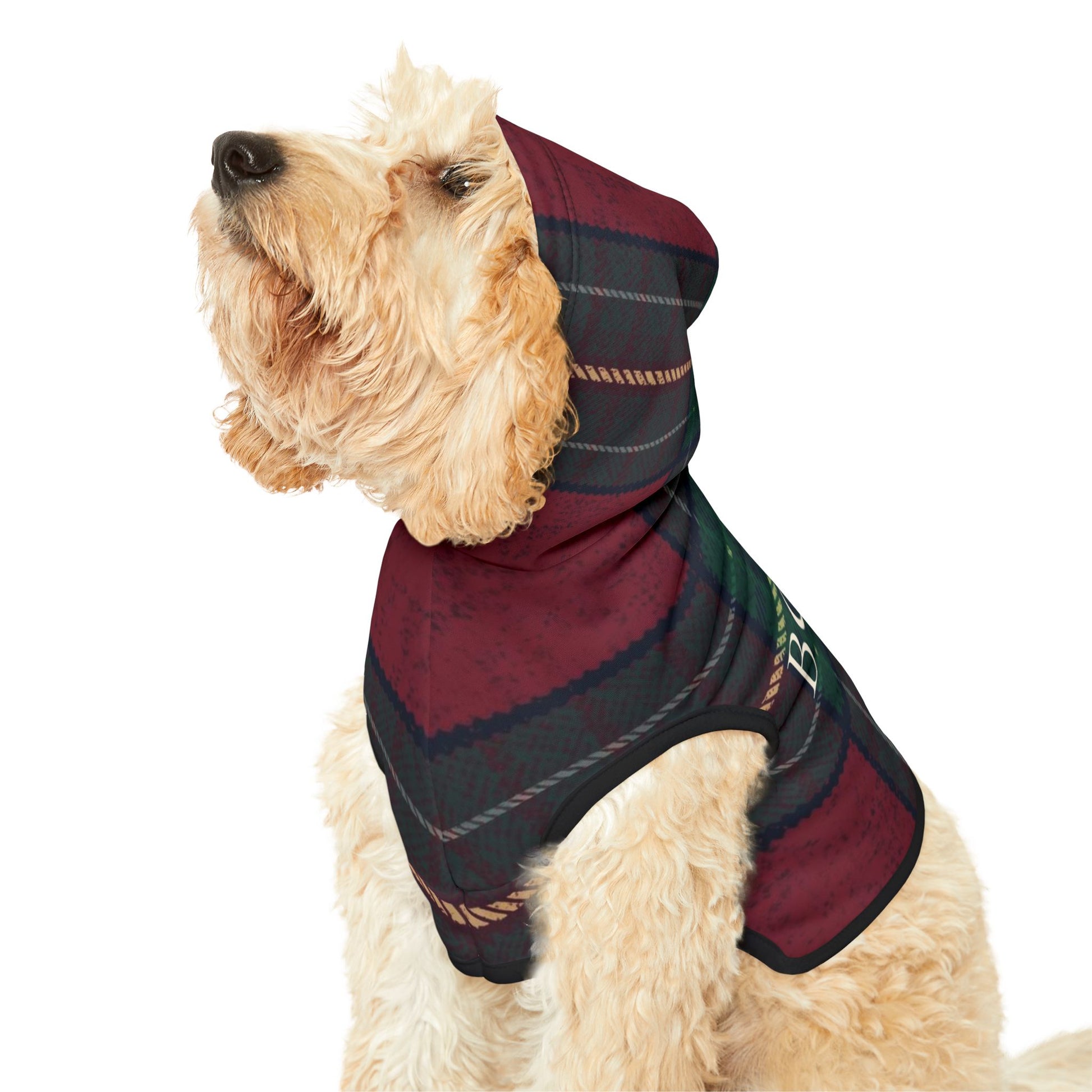 Dog wearing BOND heritage hoodie outdoors