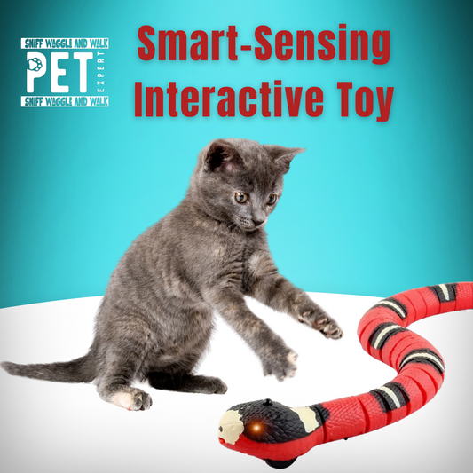 Smart Sensing Interactive Snake Toy for Cats – Endless Fun, Zero Boredom! 🐾-Sniffwaggleandwalk™