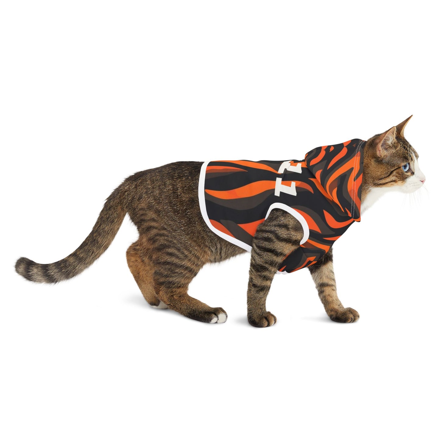 Cat wearing a tiger stripe patterned coat on a white background