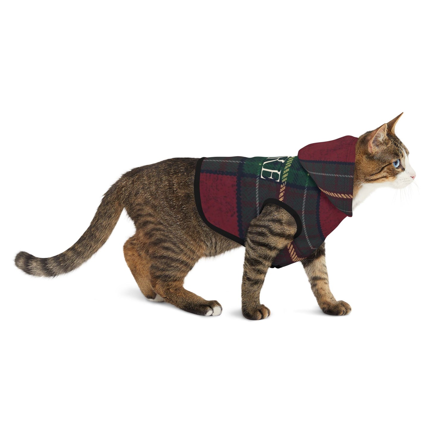 CAT DISPLAYING CORE HOODIE