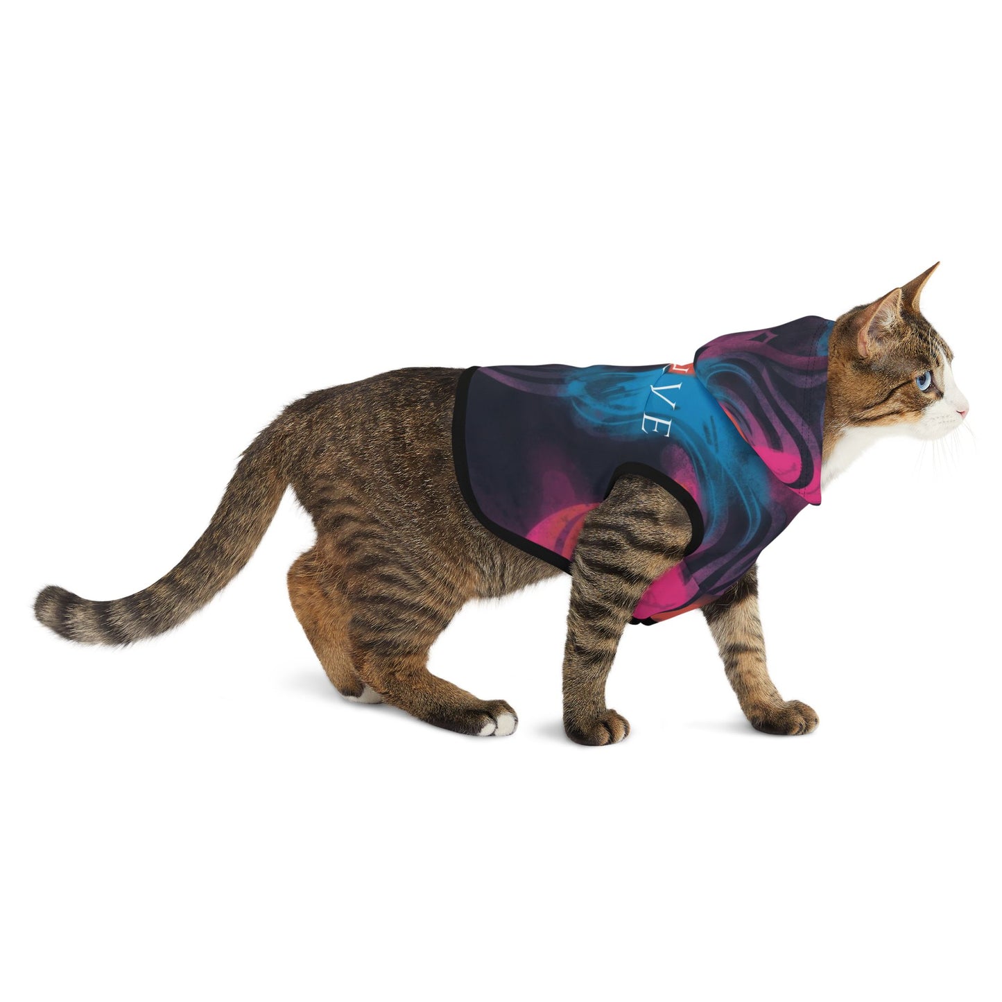 cat wearing evolve pet hoodie