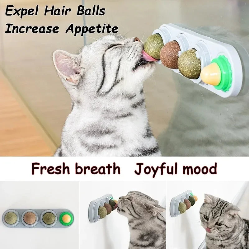 relaxed cat after enrichment play session