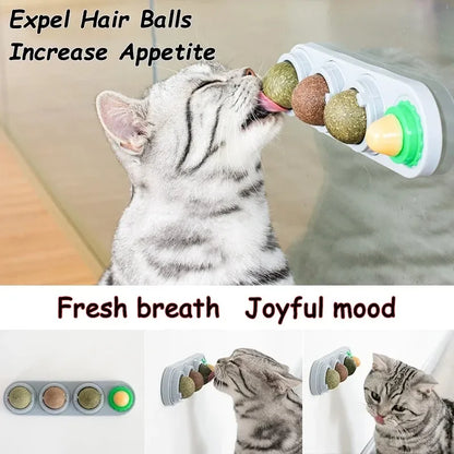 relaxed cat after enrichment play session