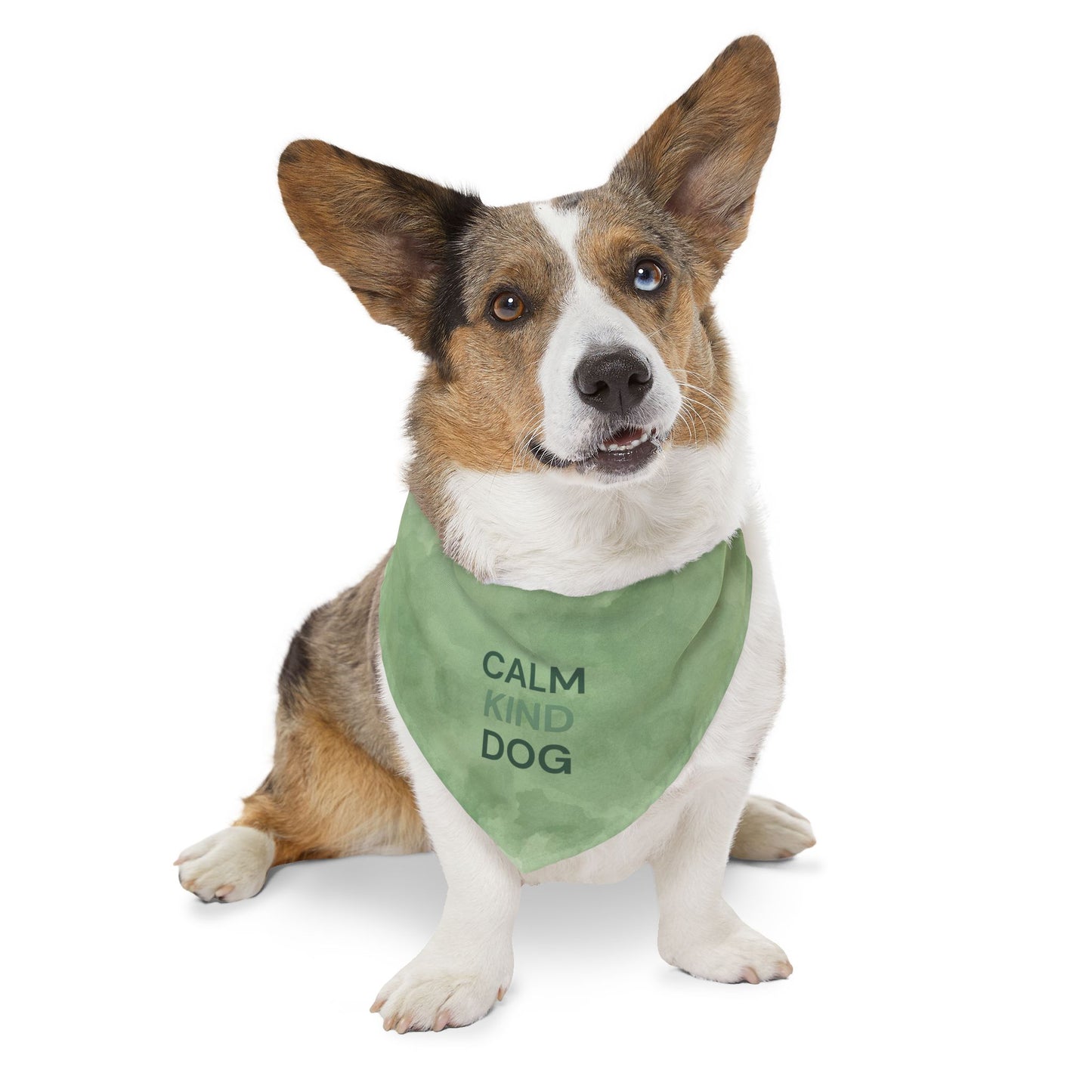 Minimal dog bandana on outdoor walk